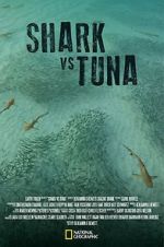 Watch Shark vs Tuna Movie2k