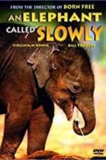 Watch An Elephant Called Slowly Movie2k