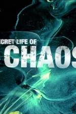 Watch The Secret Life of Chaos Movie2k