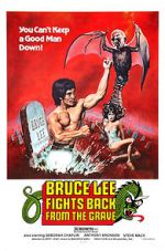 Watch Bruce Lee Fights Back from the Grave Movie2k