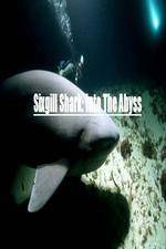 Watch National Geographic Wild Sixgill Shark Into The Abyss Movie2k