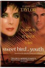 Watch Sweet Bird of Youth Movie2k