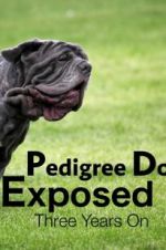 Watch Pedigree Dogs Exposed, Three Years On Movie2k