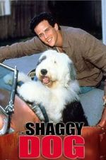 Watch The Shaggy Dog Movie2k