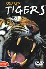 Watch Swamp Tigers Movie2k