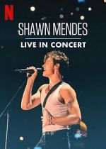 Watch Shawn Mendes: Live in Concert Movie2k