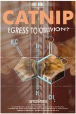 Watch Catnip Egress to Oblivion Movie2k