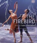 Watch The Firebird Movie2k