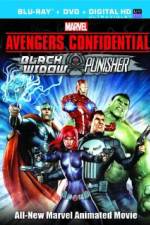 Watch Avengers Confidential: Black Widow & Punisher Movie2k