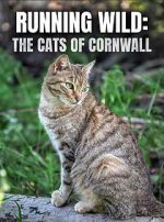 Watch Running Wild: The Cats of Cornwall (TV Special 2020) Movie2k