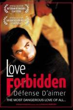 Watch Love Forbidden Movie2k