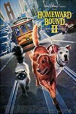 Watch Homeward Bound II: Lost in San Francisco Movie2k