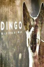 Watch Dingo Wild Dog at War Movie2k