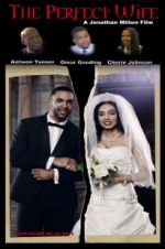 Watch The Perfect Wife Movie2k