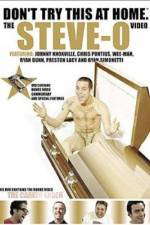 Watch Don't Try This at Home The Steve-O Video Movie2k