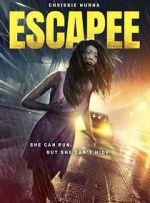 Watch The Escapee Movie2k