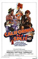 Watch California Split Movie2k