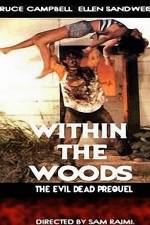 Watch Within the Woods Movie2k