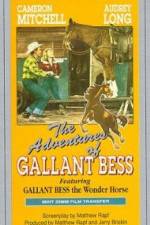 Watch Adventures of Gallant Bess Movie2k