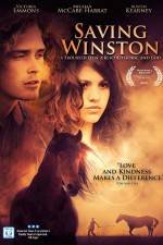 Watch Saving Winston Movie2k