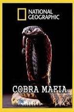 Watch National Geographic Cobra Mafia Movie2k