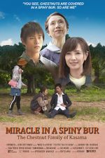 Watch Miracle in Kasama Movie2k