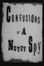 Watch Confusions of a Nutzy Spy Movie2k