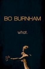 Watch Bo Burnham: what. Movie2k