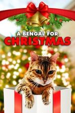 Watch A Bengal for Christmas Movie2k