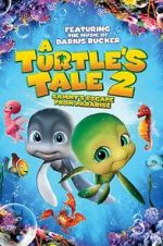 Watch A Turtle\'s Tale 2: Sammy\'s Escape from Paradise Movie2k