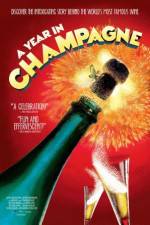 Watch A Year in Champagne Movie2k