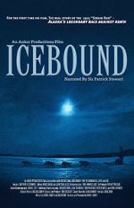 Watch Icebound Movie2k