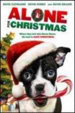 Watch Alone For Christmas Movie2k