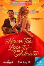 Watch Never Too Late to Celebrate Movie2k