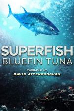 Watch Superfish Bluefin Tuna Movie2k