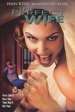 Watch The Perfect Wife Movie2k