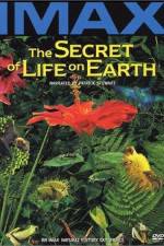 Watch The Secret of Life on Earth Movie2k