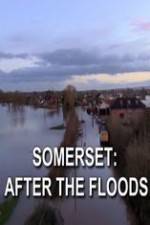 Watch Somerset: After the Floods Movie2k