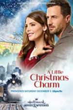 Watch A Little Christmas Charm Movie2k