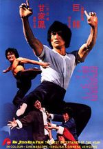 Watch The Dragon\'s Snake Fist Movie2k