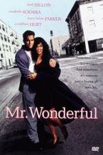 Watch Mr Wonderful Movie2k