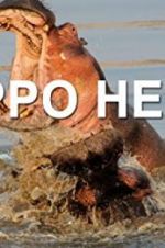 Watch Hippo Hell Movie2k