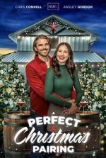 Watch A Perfect Christmas Pairing Movie2k