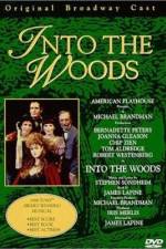 Watch Into the Woods Movie2k