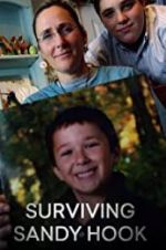 Watch Surviving Sandy Hook Movie2k