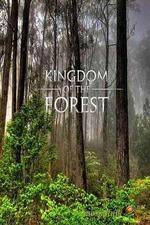 Watch National Geographic Kingdom of the Forest Movie2k