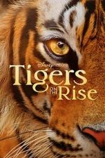 Watch Tigers on the Rise Movie2k