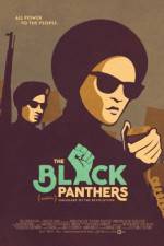 Watch The Black Panthers Vanguard of the Revolution Movie2k