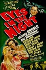 Watch Eyes in the Night Movie2k