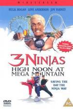 Watch 3 Ninjas High Noon at Mega Mountain Movie2k